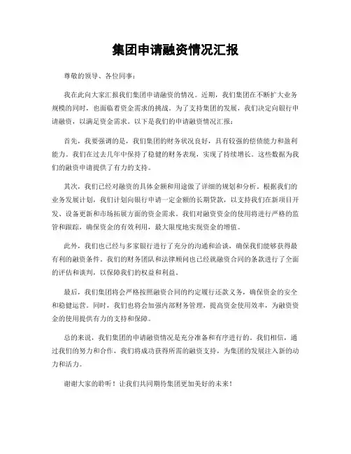 集团申请融资情况汇报