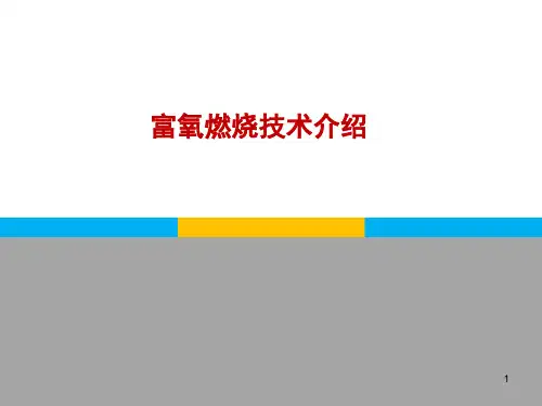 富氧燃烧技术ppt课件