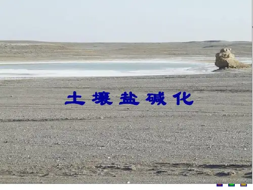 土壤盐碱化