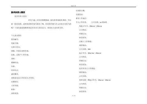 技术负责人简历