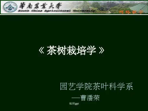 精品课程《茶树栽培学》 第三章 茶树的植物学特征