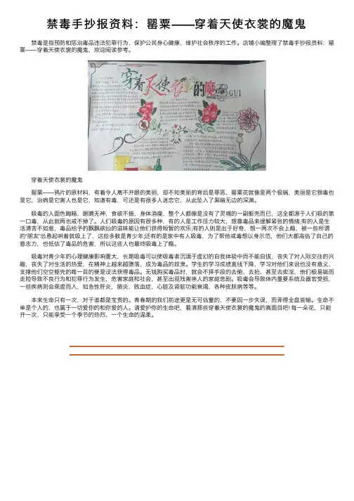 禁毒手抄报资料：罂粟——穿着天使衣裳的魔鬼