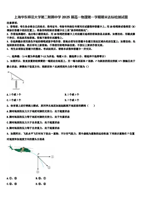 上海华东师范大学第二附属中学2025届高一物理第一学期期末达标检测试题含解析