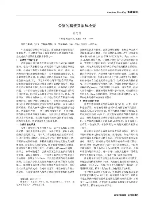 公猪的精液采集和检查