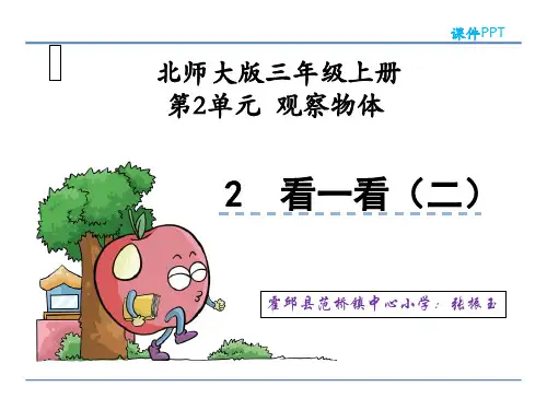 北师大版数学三年级上册观察物体《看一看(二)》课件