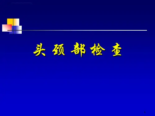 头颈部检查课件