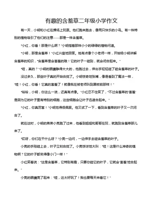 有趣的含羞草二年级小学作文