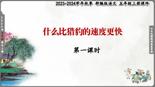 五年级《什么比猎豹的速度更快》课件(共35张PPT)