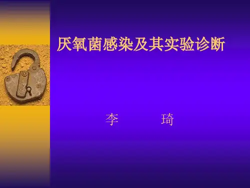 厌氧菌讲义PPT课件