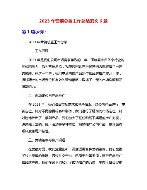 2023年营销总监工作总结范文6篇