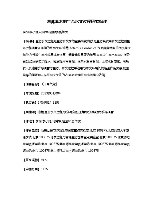 油蒿灌木的生态水文过程研究综述