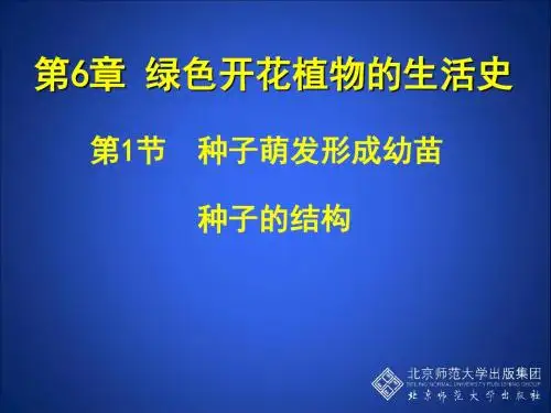 第六章绿色开花植物的生活史