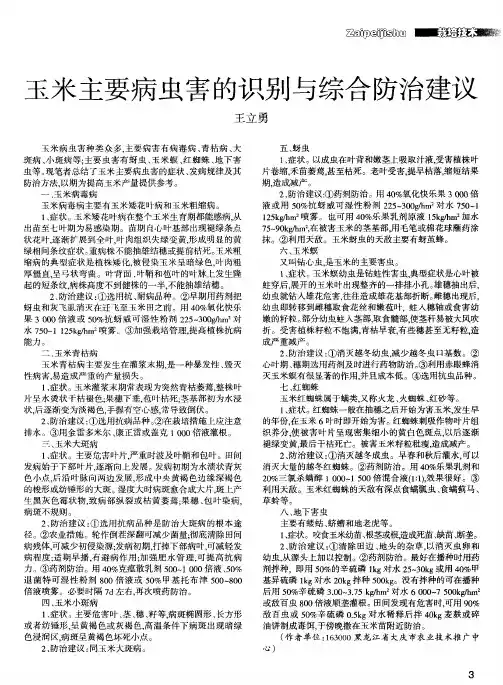 玉米主要病虫害的识别与综合防治建议