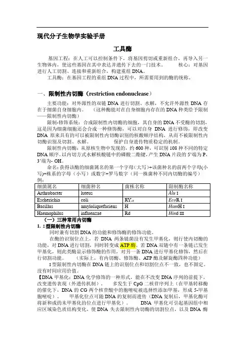 分子生物学实验常用工具酶总结