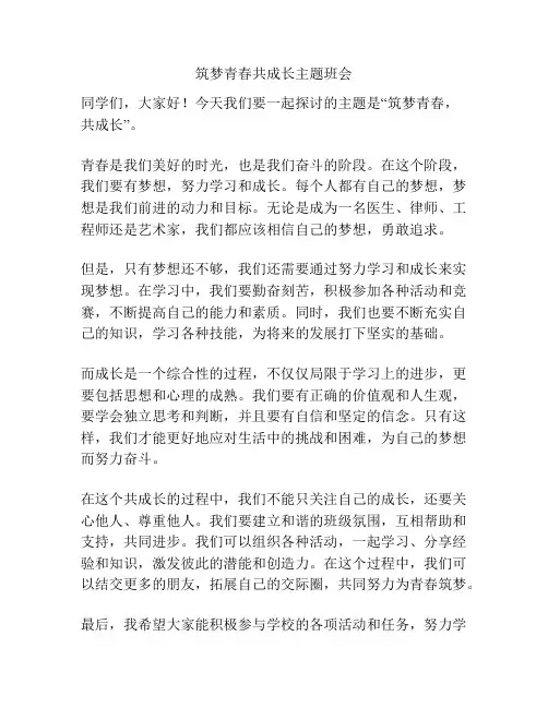 筑梦青春共成长主题班会