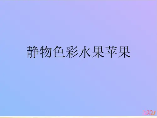 静物色彩水果苹果教材PPT