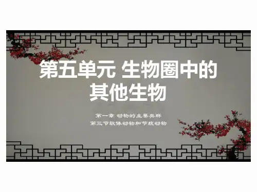人教版八年级生物上册 5.1.3节肢动物和软体动物课件(共45张PPT)