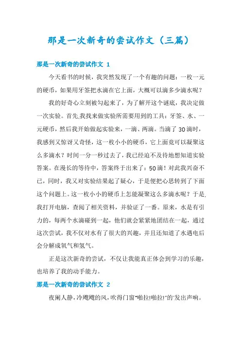 那是一次新奇的尝试作文(三篇)