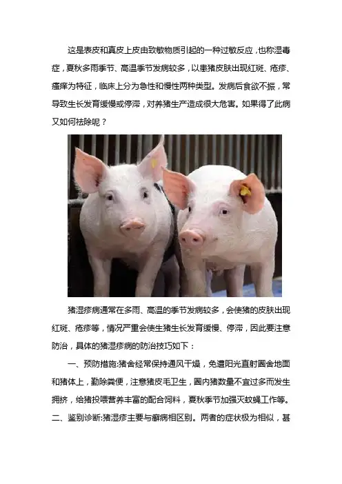 猪湿疹病怎么治