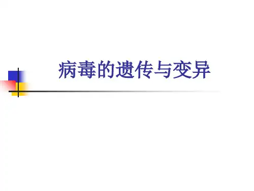 病毒的遗传与变异ppt课件
