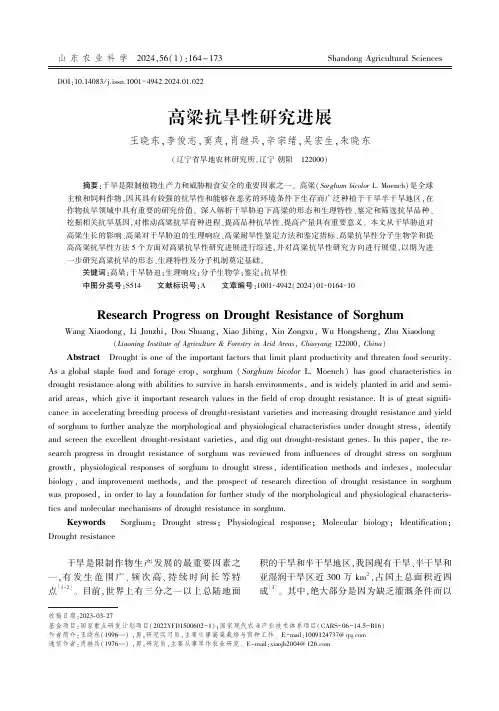 高粱抗旱性研究进展