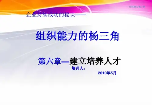 组织能力杨三角第六章PPT