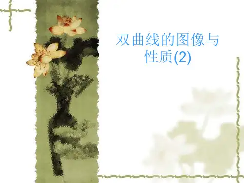 高中数学 双曲线的图像与性质