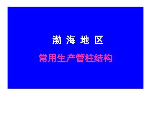 常用生产管柱 图