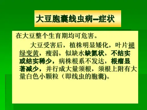 大豆病害完整