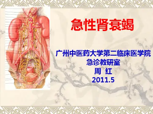 急性肾衰竭