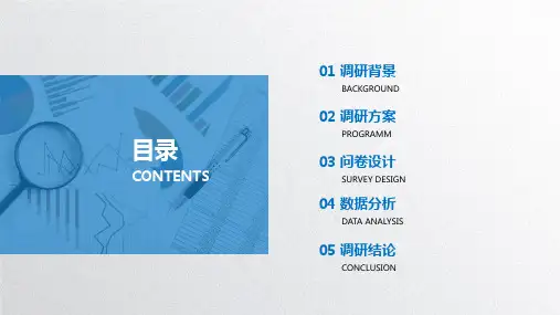 市场调研报告ppt模板课件