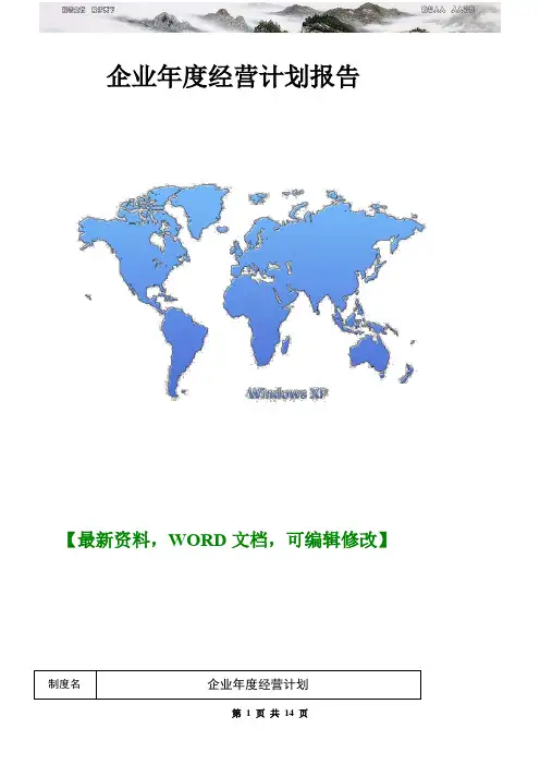 企业年度经营计划报告