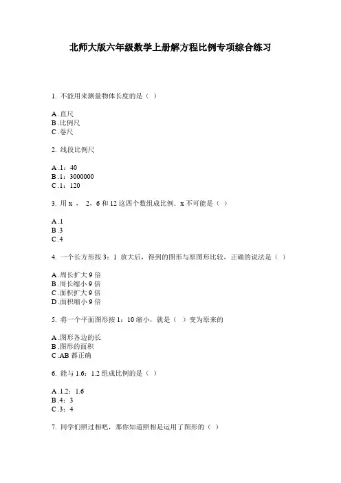 北师大版六年级数学上册解方程比例专项综合练习