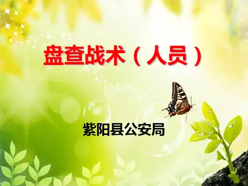 盘查战术(人员盘查)