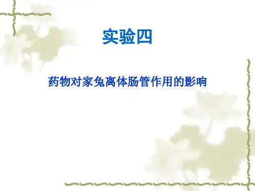 药物对家兔离体肠管的影响