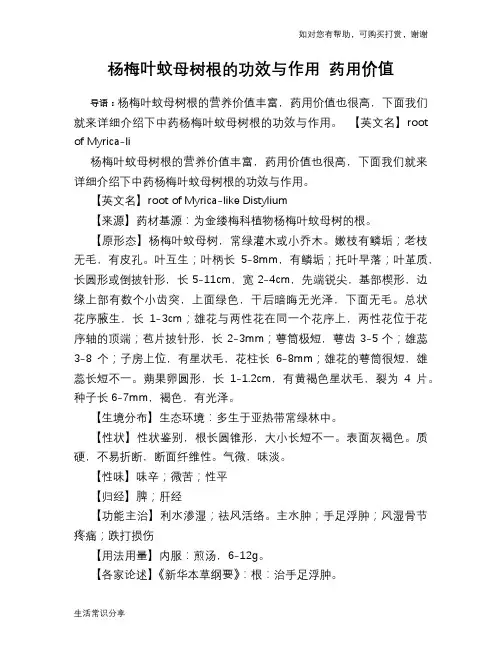 杨梅叶蚊母树根的功效与作用 药用价值