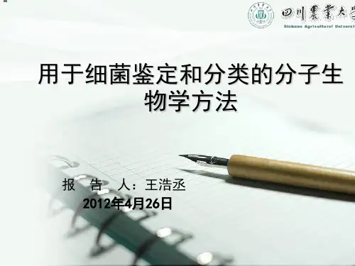 用于细菌鉴定和分类的分子生物学方法PPT课件