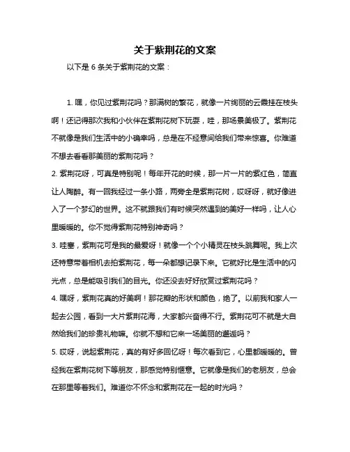 关于紫荆花的文案