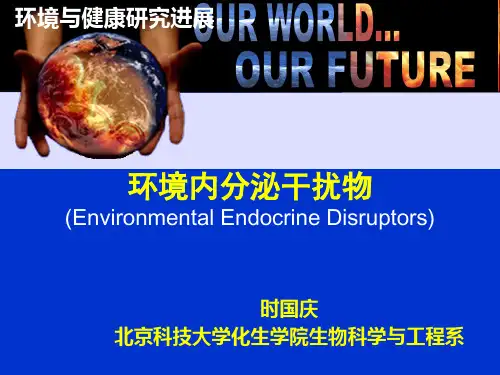 环境内分泌干扰物