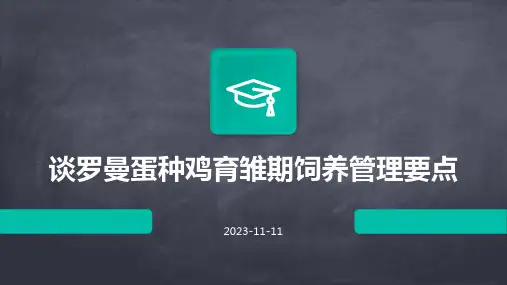 谈罗曼蛋种鸡育雏期饲养管理要点