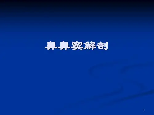 鼻鼻窦解剖ppt演示课件ppt演示课件