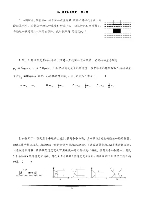 高一物理竞赛：第六讲.《动量和角动量》