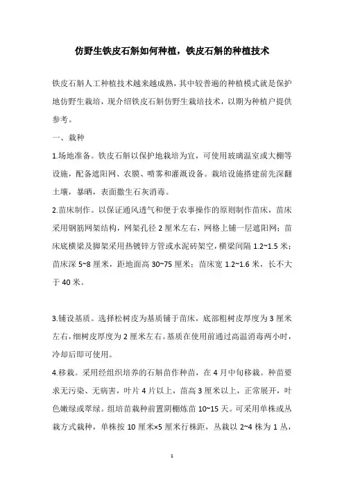 仿野生铁皮石斛如何种植,铁皮石斛的种植技术