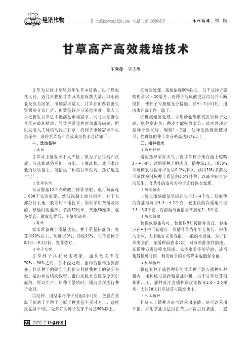 甘草高产高效栽培技术