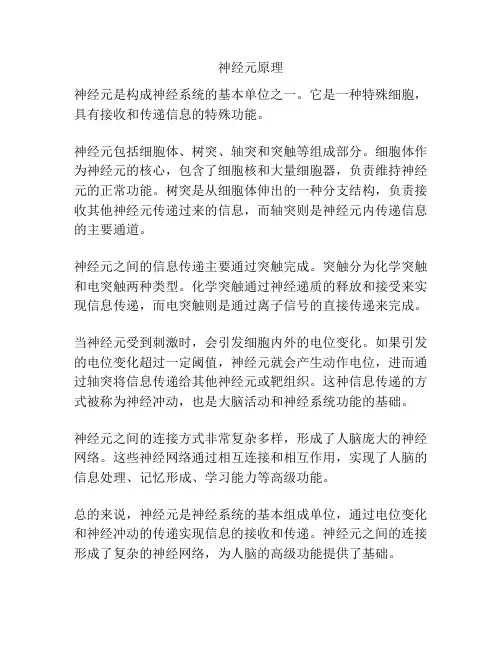 神经元原理