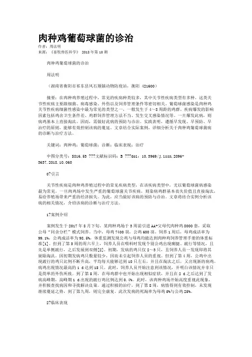 肉种鸡葡萄球菌的诊治