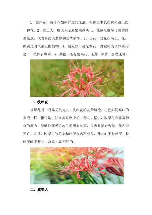 鬼花都有什么花