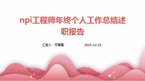 NPI工程师年终个人工作总结述职报告