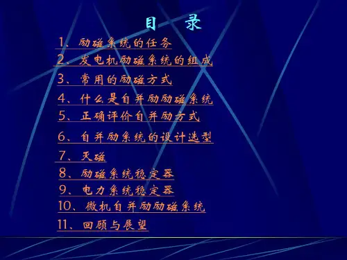 自并励励磁系统