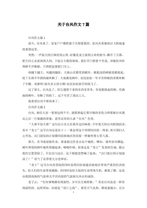 关于台风作文7篇